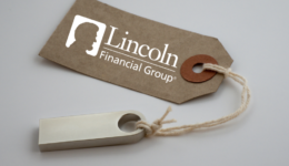 Newsletter image 10
